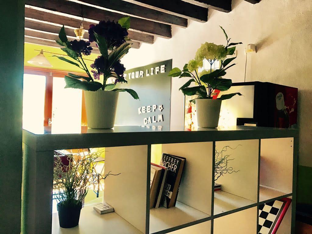 Albergue Juvenil New Age Hostel ปัลมาเดมายอร์กา ภายนอก รูปภาพ